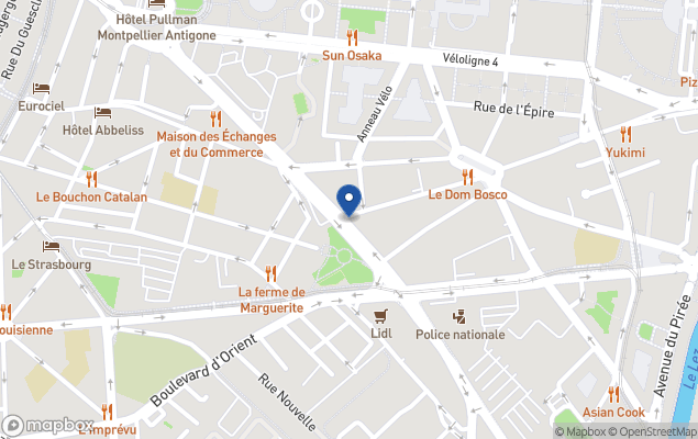 solene immobilier